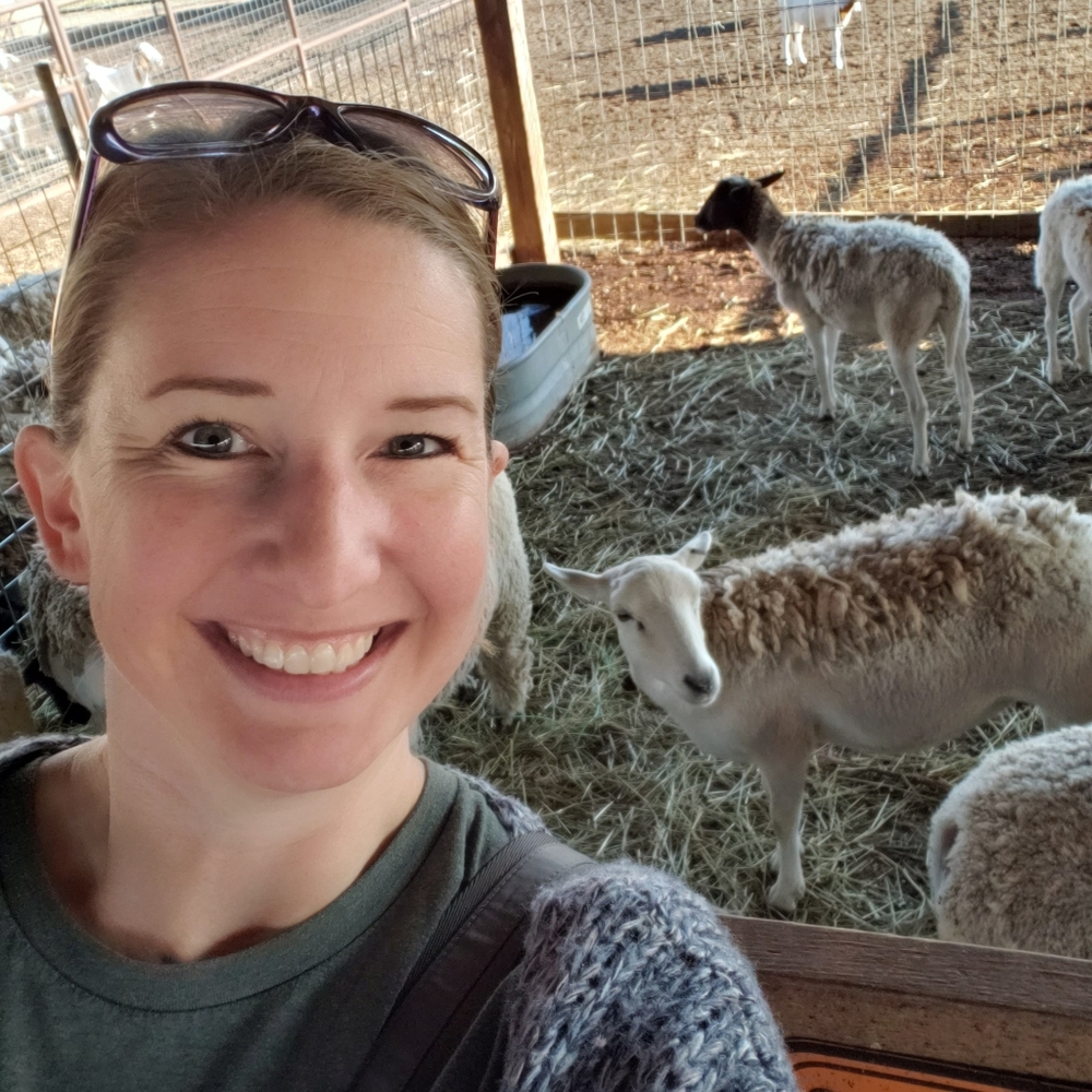 Offers Always Welcome!